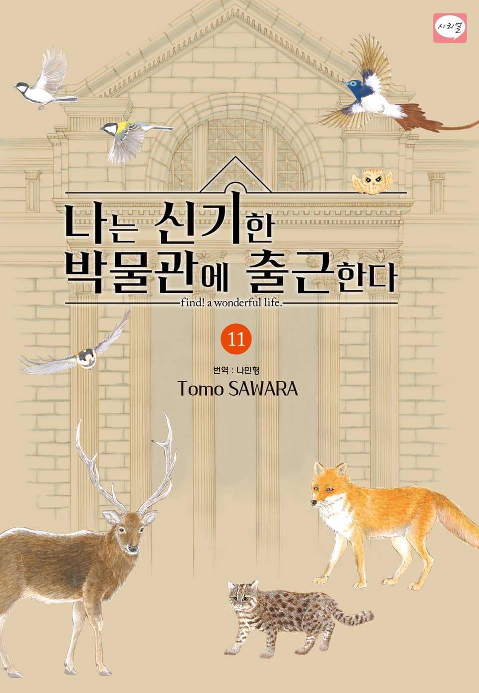 나는 신기한 박물관에 출근한다 11권