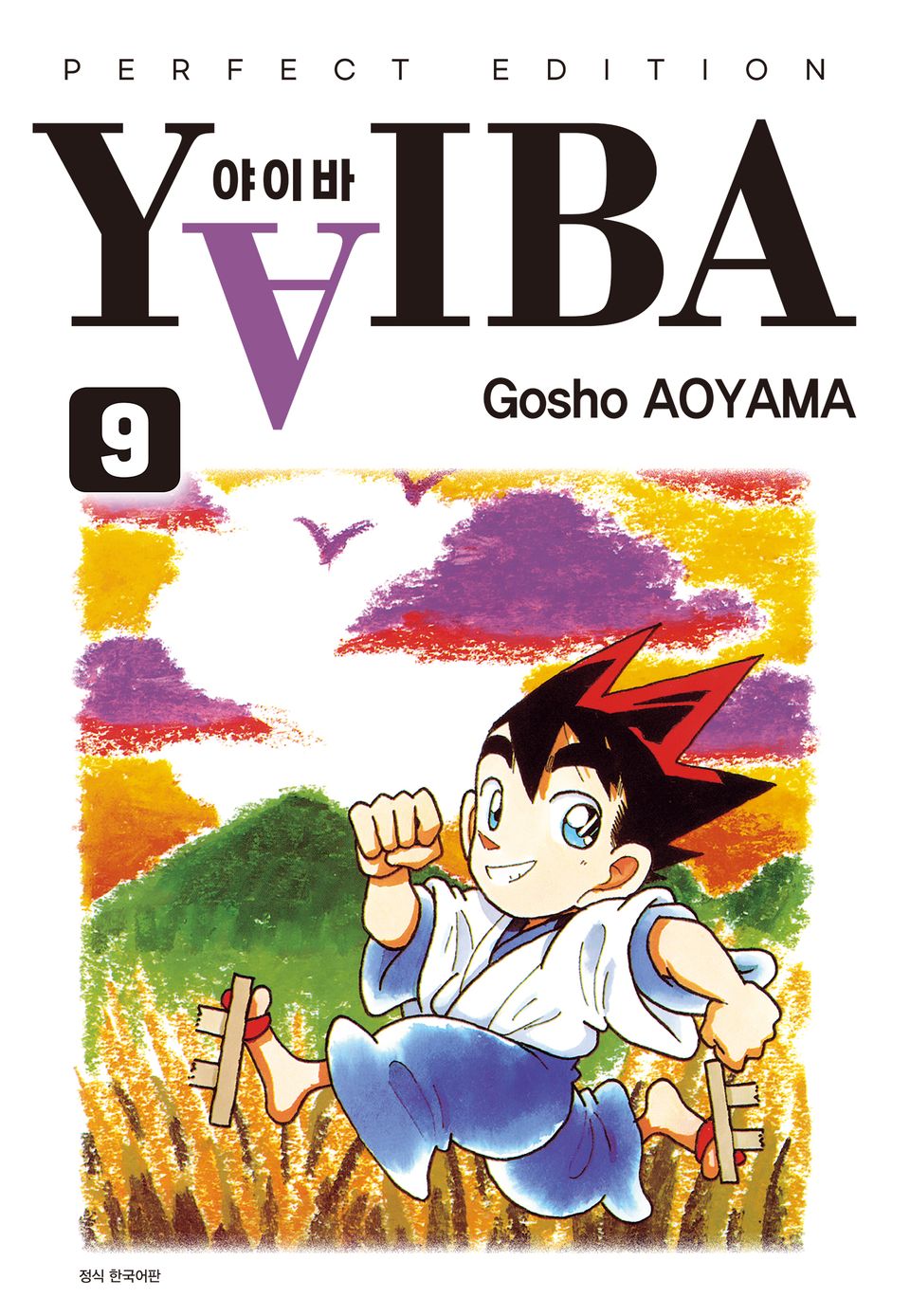 YAIBA 야이바 완전판 9권