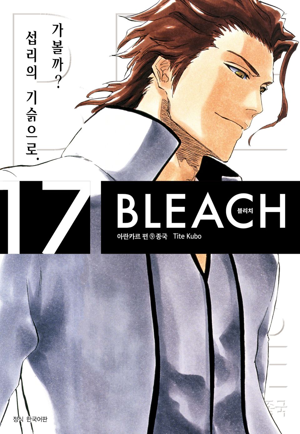 블리치 리믹스 17권