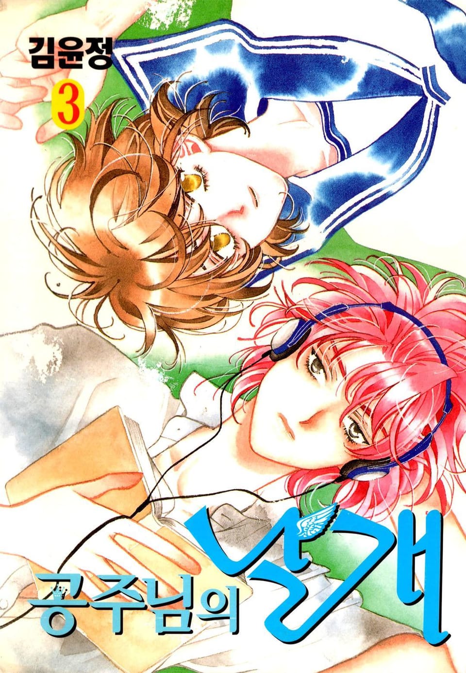 공주님의 날개 3권