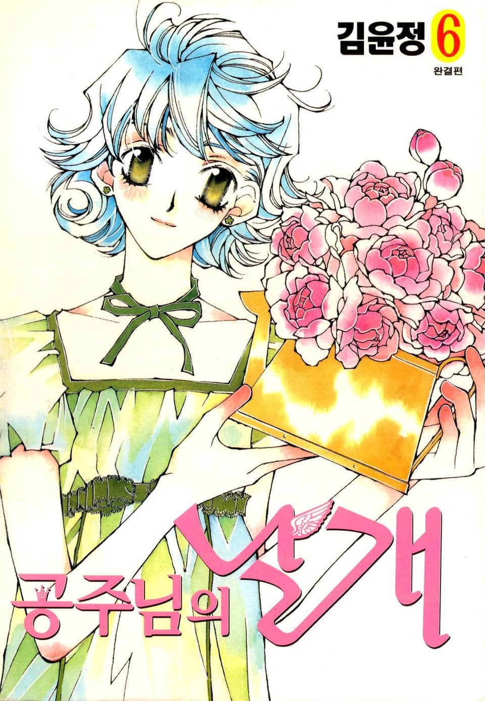 공주님의 날개 6권 (완결)
