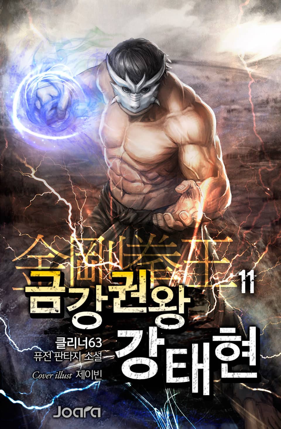 금강권왕 강태현 11권