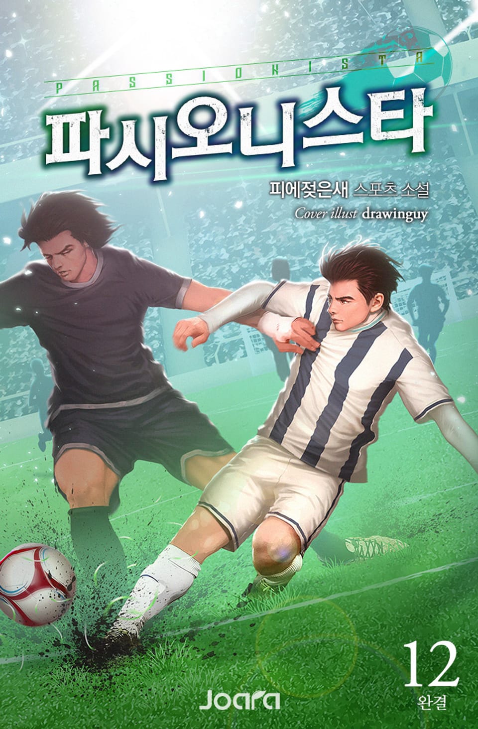 파시오니스타 12권 (완결)