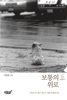 보통의 위로
