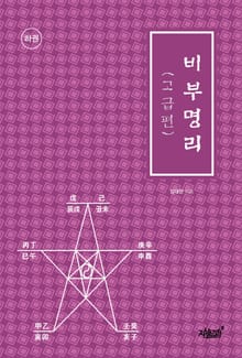 비부명리(고급편 하권)