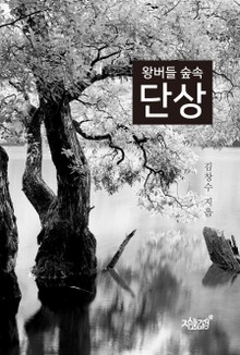 왕버들 숲속 단상