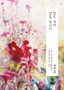 열두 개의 달을 만나다