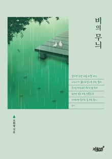 비의 무늬