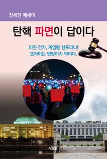 탄핵 파면이 답이다