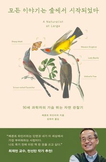모든 이야기는 숲에서 시작되었다