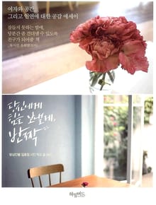 당신에게 힘을 보낼게, 반짝