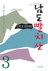 남도빨치산 3 표지 이미지