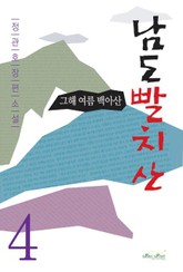 남도빨치산 4 표지 이미지