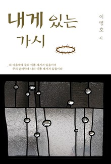 내게 있는 가시