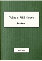 Valley of Wild Horses 표지 이미지