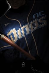 [칼럼북] 10구단 창단, 물 건너 간 것인가? 표지 이미지