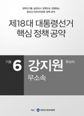 2012 대선 후보 공약 - 강지원 표지 이미지