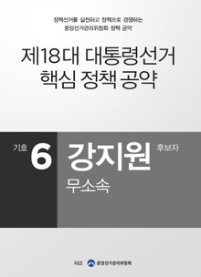 2012 대선 후보 공약 - 강지원