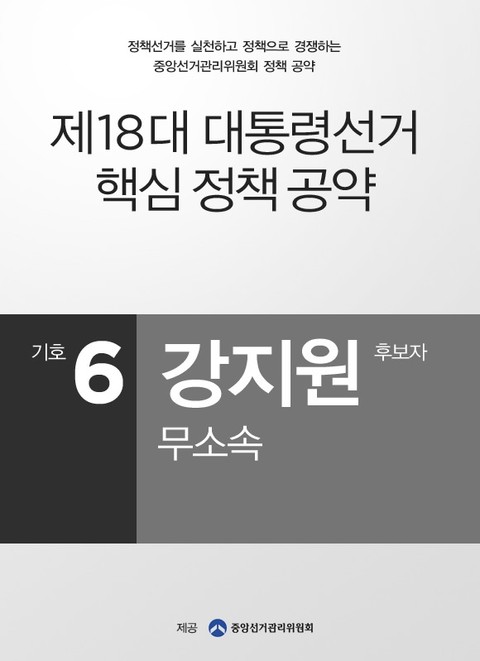 2012 대선 후보 공약 - 강지원 표지 이미지