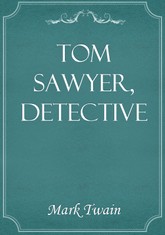Tom Sawyer, Detective 표지 이미지