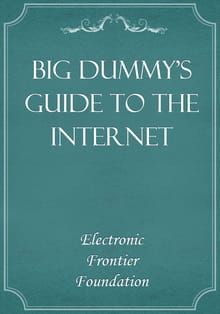 Big Dummy's Guide to the Internet