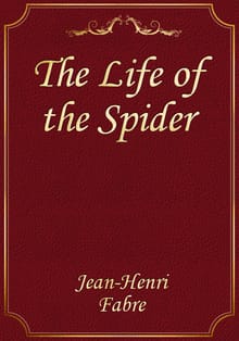 The Life of the Spider