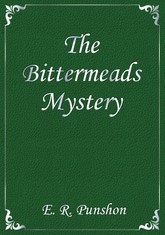The Bittermeads Mystery 표지 이미지