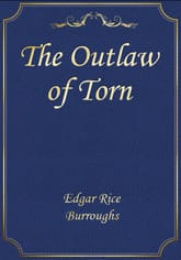 The Outlaw of Torn 표지 이미지