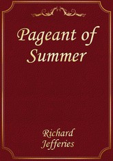 Pageant of Summer 표지 이미지
