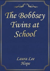 The Bobbsey Twins at School 표지 이미지