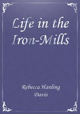 Life in the Iron-Mills 표지 이미지