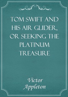 Tom Swift and His Air Glider, or Seeking the Platinum Treasure