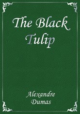The Black Tulip 표지 이미지