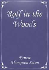 Rolf in the Woods 표지 이미지