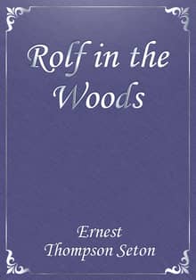 Rolf in the Woods
