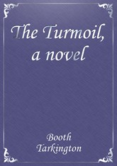 The Turmoil, a novel 표지 이미지