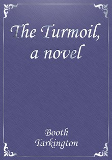 The Turmoil, a novel