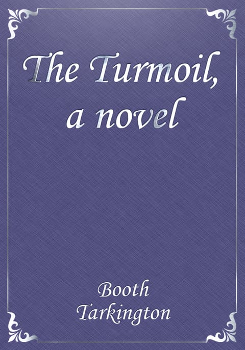 The Turmoil, a novel 표지 이미지