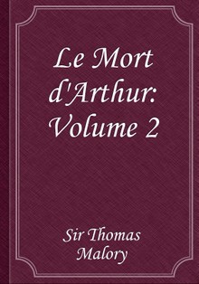 Le Mort d'Arthur: Volume 2