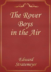 The Rover Boys in the Air 표지 이미지