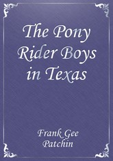 The Pony Rider Boys in Texas 표지 이미지