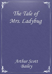 The Tale of Mrs. Ladybug