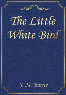 The Little White Bird