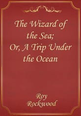 The Wizard of the Sea; Or, A Trip Under the Ocean 표지 이미지