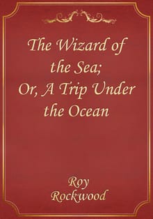 The Wizard of the Sea; Or, A Trip Under the Ocean