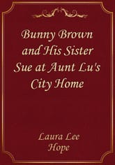 Bunny Brown and His Sister Sue at Aunt Lu's City Home 표지 이미지