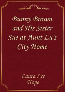 Bunny Brown and His Sister Sue at Aunt Lu's City Home