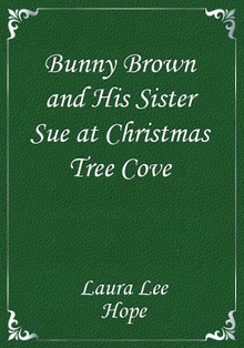 Bunny Brown and His Sister Sue at Christmas Tree Cove
