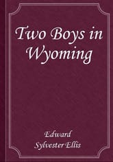 Two Boys in Wyoming 표지 이미지