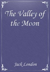 The Valley of the Moon 표지 이미지